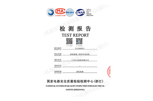 齒輪減速三相異步電動(dòng)機(jī)檢測(cè)報(bào)告